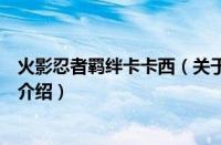 火影忍者羁绊卡卡西（关于火影忍者羁绊卡卡西的基本详情介绍）