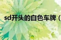 sd开头的白色车牌（车牌sd开头代表什么）
