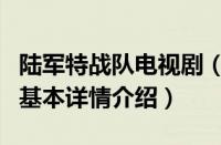 陆军特战队电视剧（关于陆军特战队电视剧的基本详情介绍）