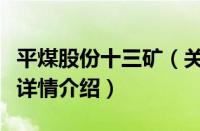 平煤股份十三矿（关于平煤股份十三矿的基本详情介绍）