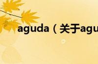 aguda（关于aguda的基本详情介绍）