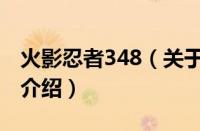 火影忍者348（关于火影忍者348的基本详情介绍）
