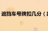 遮挡车号牌扣几分（故意遮挡号牌怎么处理）