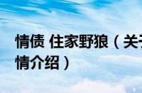 情债 住家野狼（关于情债 住家野狼的基本详情介绍）