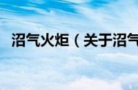 沼气火炬（关于沼气火炬的基本详情介绍）