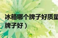 冰箱哪个牌子好质量好性价比高（皱纹漆哪个牌子好）