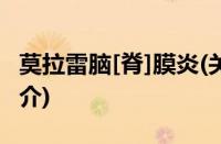 莫拉雷脑[脊]膜炎(关于莫拉雷脑[脊]膜炎的简介)