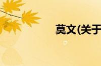 莫文(关于莫文的简介)