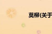 莫柳(关于莫柳的简介)