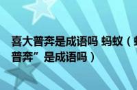 喜大普奔是成语吗 蚂蚁（蚂蚁庄园11.19今日答案：“喜大普奔”是成语吗）