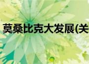莫桑比克大发展(关于莫桑比克大发展的简介)