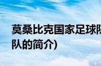 莫桑比克国家足球队(关于莫桑比克国家足球队的简介)