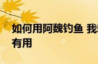 如何用阿魏钓鱼 我想知道阿魏钓鱼到底有没有用