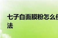 七子白面膜粉怎么使用方法 七子白面膜粉用法 