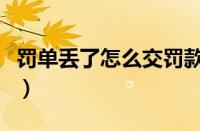 罚单丢了怎么交罚款（罚款单丢了怎么找编号）