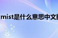 mist是什么意思中文翻译（mist是什么意思）