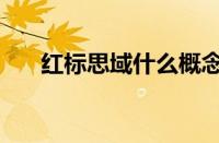 红标思域什么概念（什么叫红标思域）