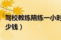 驾校教练陪练一小时多少钱（驾校陪练一天多少钱）