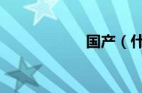 国产（什么是国产）