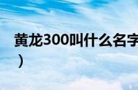 黄龙300叫什么名字（黄龙300是什么牌子车）