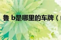 鲁 b是哪里的车牌（山东鲁b是哪里的车牌）