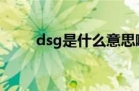 dsg是什么意思啊（dsg是什么车）