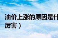 油价上涨的原因是什么（为什么油价上涨这么厉害）