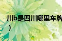 川b是四川哪里车牌号（豫N是哪里的车牌号）