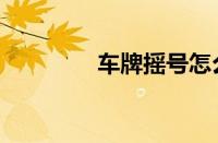 车牌摇号怎么查询（上牌）