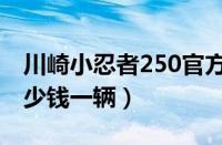 川崎小忍者250官方报价（川崎小忍者250多少钱一辆）
