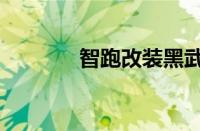 智跑改装黑武士（智跑改装）