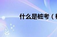 什么是桩考（桩考到底是什么）
