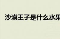 沙漠王子是什么水果（沙漠王子是哪款车）