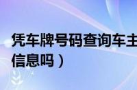 凭车牌号码查询车主（通过车牌号能查到车主信息吗）