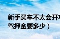 新手买车不太会开车怎么试驾（4s店预约试驾押金要多少）