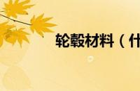 轮毂材料（什么是轮毂材料）