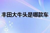 丰田大牛头是哪款车（丰田大水牛是什么车）