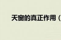 天窗的真正作用（天窗的作用与使用）