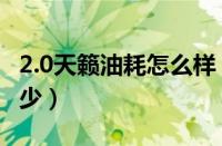 2.0天籁油耗怎么样（大家天籁2.0油耗一般多少）