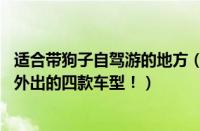 适合带狗子自驾游的地方（17汽配网推荐最适合带狗狗一起外出的四款车型！）