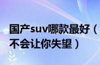 国产suv哪款最好（这几款国产中大型SUV也不会让你失望）