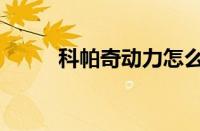 科帕奇动力怎么样（科帕奇动力）