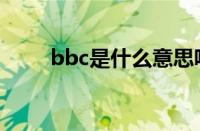 bbc是什么意思呢（bbc是什么车）