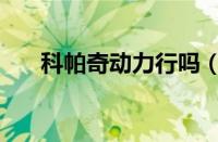 科帕奇动力行吗（科帕奇动力怎么样）