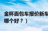 金杯面包车报价新车（金杯快运和福田蒙派克哪个好？）