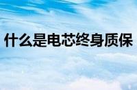 什么是电芯终身质保（什么叫电芯终身质保）