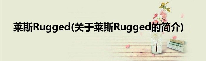 莱斯简介Rugged