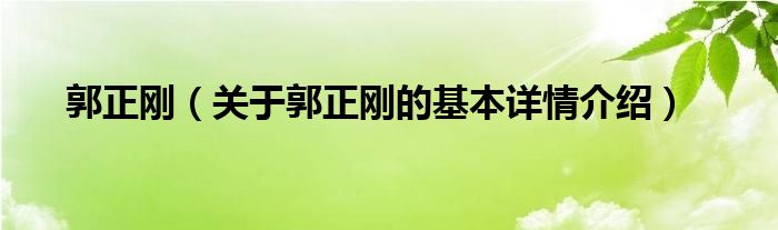 详情介绍郭正刚