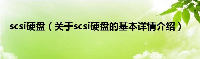 硬盘详情介绍scsi