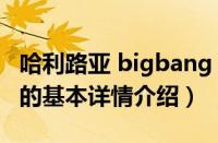 哈利路亚 bigbang（关于哈利路亚 bigbang的基本详情介绍）